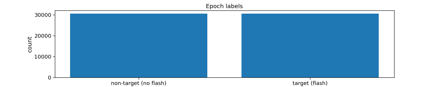 Epoch labels